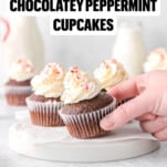 pin of Chocolate Peppermint Cupcakes