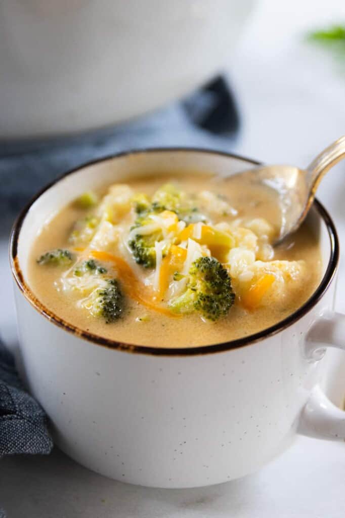 a cup of vegetable chowder